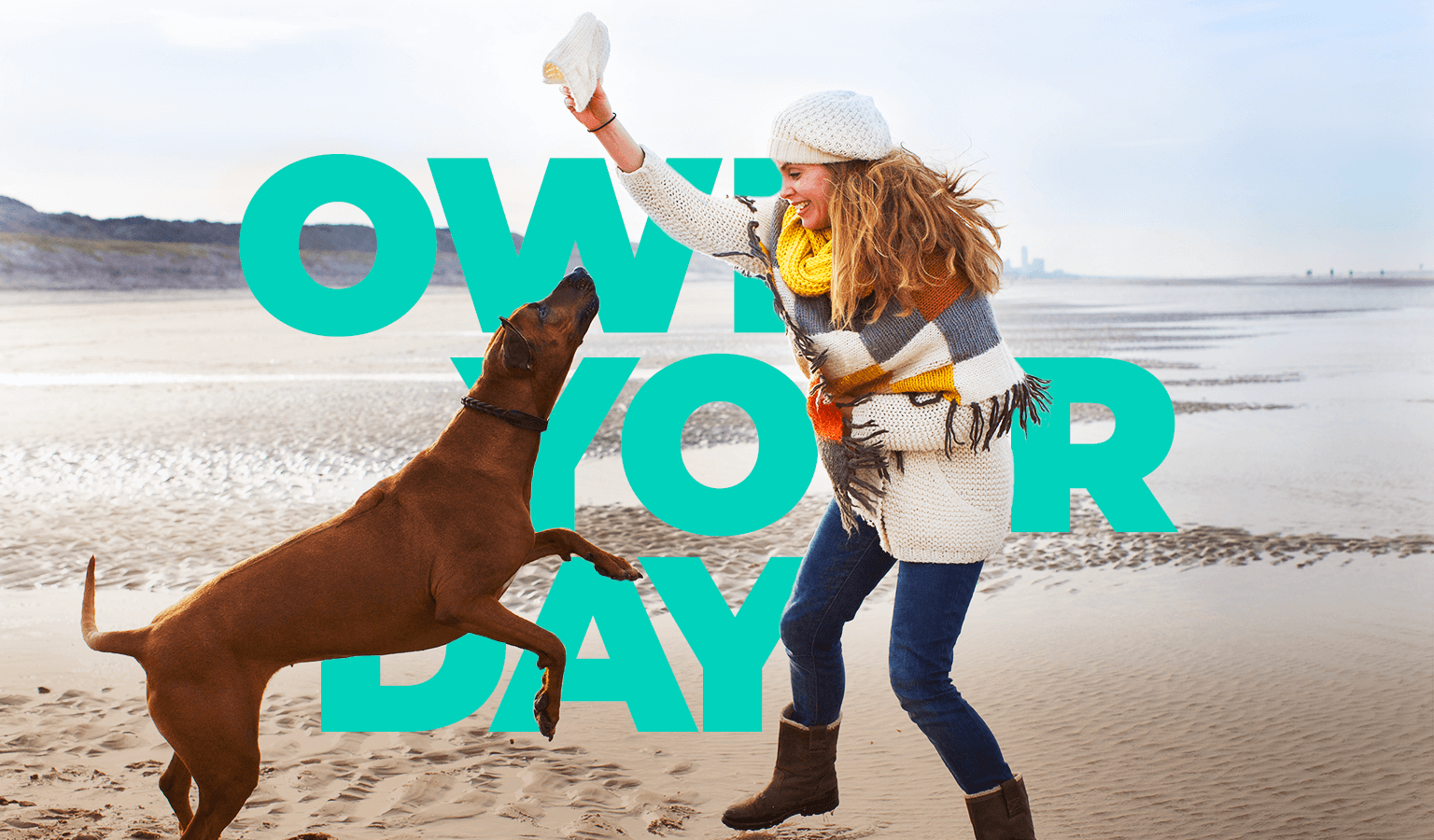 Own Your Day