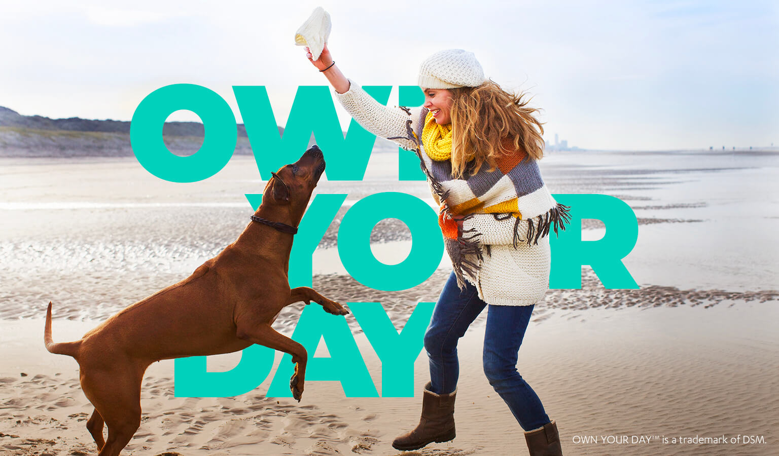 Own Your Day