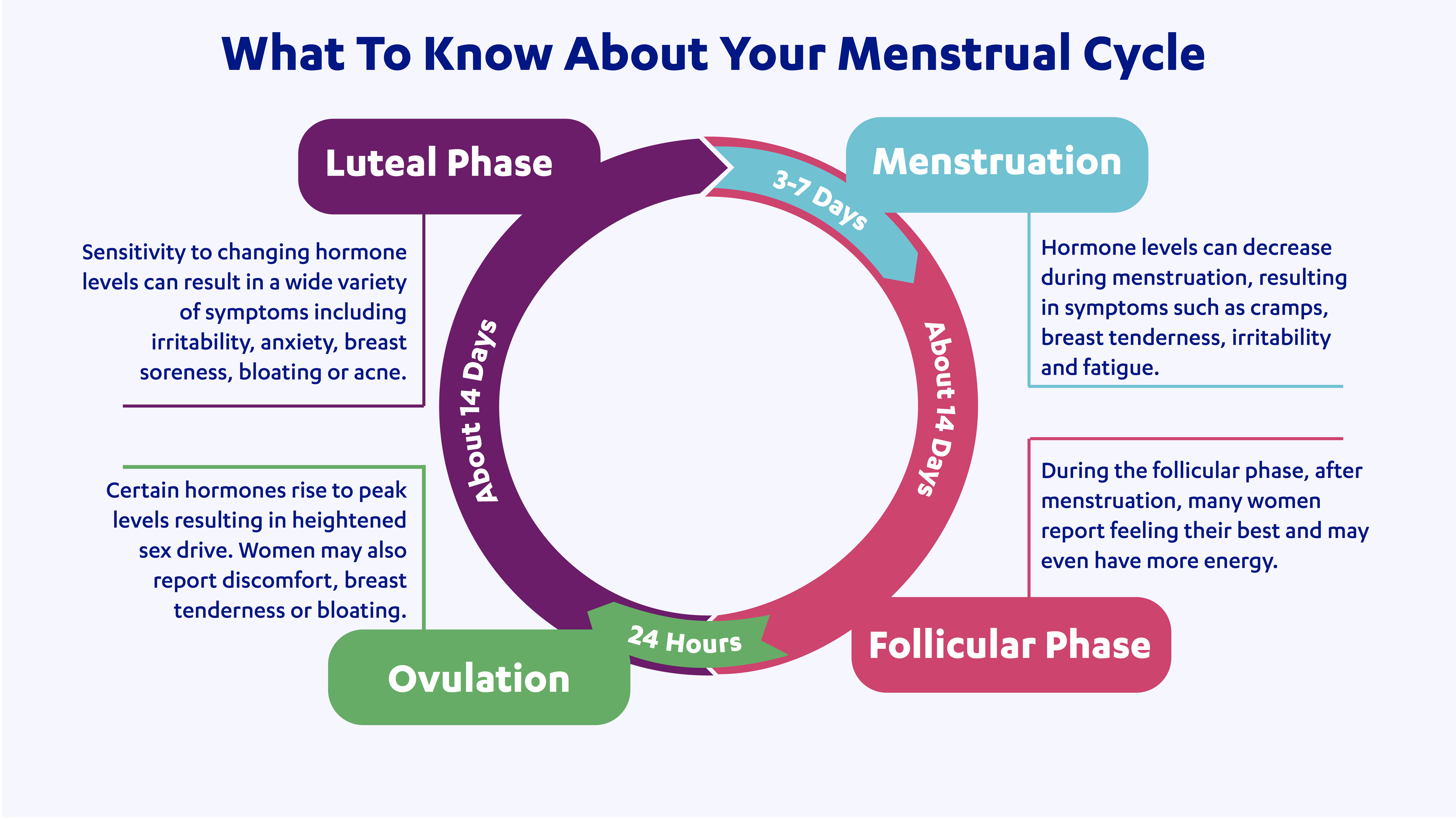 Menstrual Cycle Phases and Hormones  Menstrual cycle phases, Menstrual  cycle, Menstrual