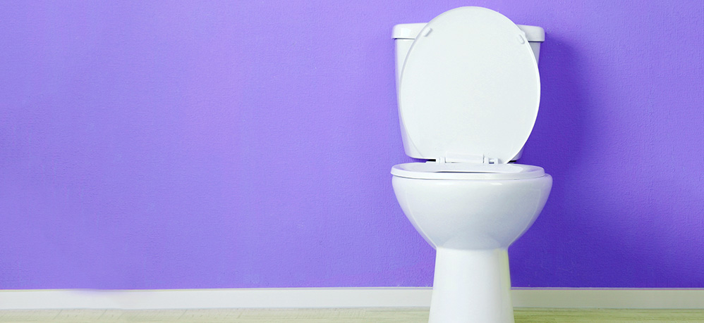 Bacteria and Urinary Health